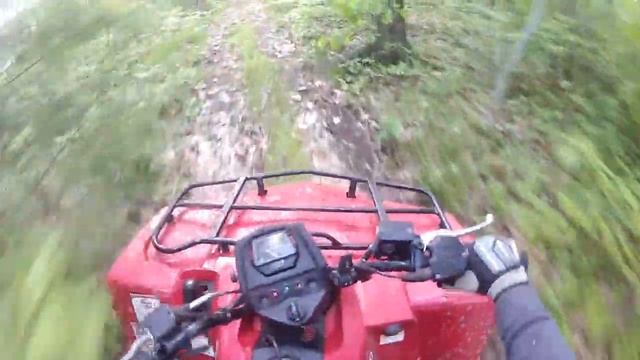 Suzuki Kingquad 400 Trail Ride and Fox Sighting смотреть онлайн