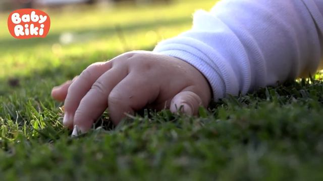 60MIN BabyRiki RO | Exploreaza lumea cu BabyRiki | Desene animate pentru Copii смотреть онлайн