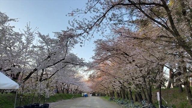 April 2021 Hakodate Aomori Touring Trip смотреть онлайн