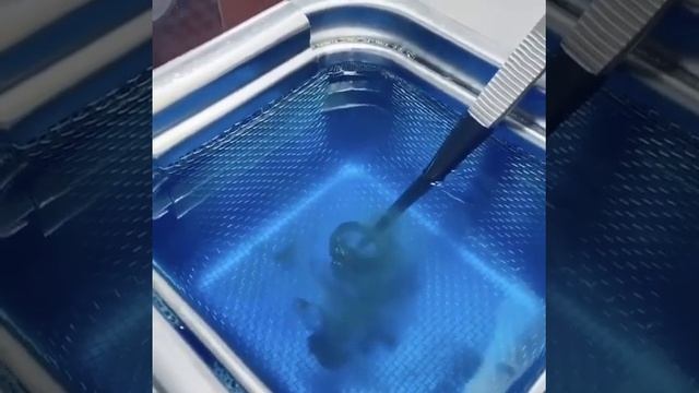 Ring dipped in this blue formula used for jewelry cleaning! смотреть онлайн