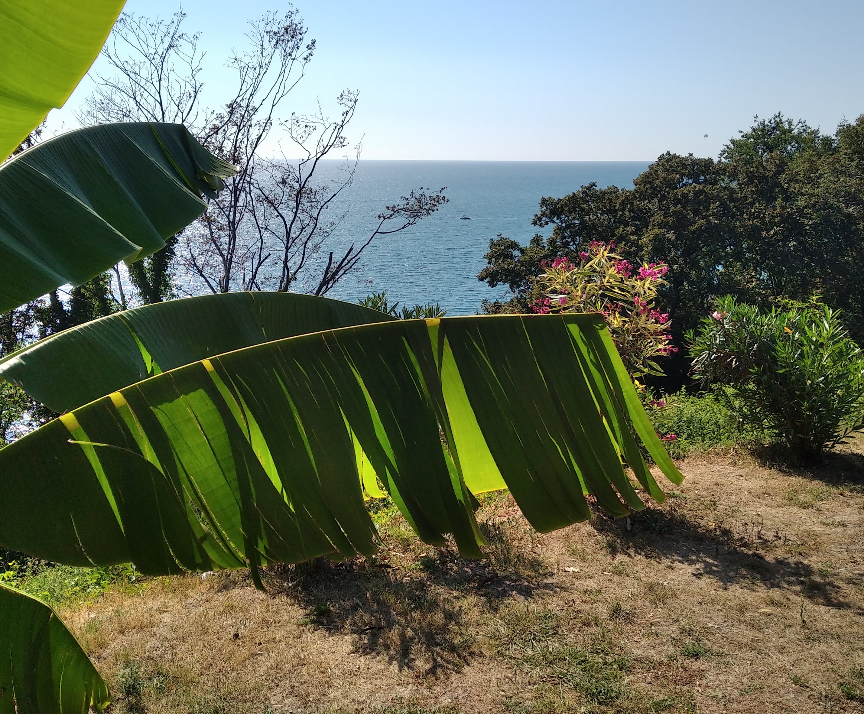 Острова (Сочи-Адлер 13-29 сентября 2023г.) смотреть онлайн