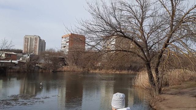 Зарастает старый пруд смотреть онлайн