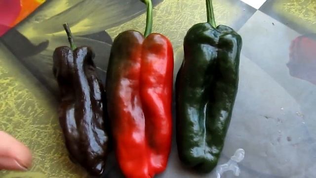 Poblano - Перец чили "Поблано" (анчо, мулато) смотреть онлайн
