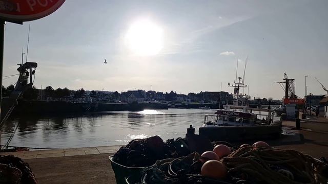 Прогулка по курорту Трувиль. Знаменитый рыбный рынок. Памятник Флоберу . Promenade à Trouville смотреть онлайн