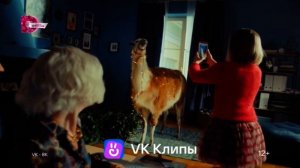 Короткий рекламный блок, анонсы (Домашний, 13.12.2022)