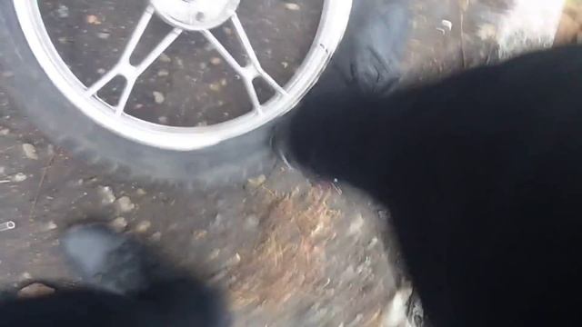 День из жизни ALPHA-вода смотреть онлайн