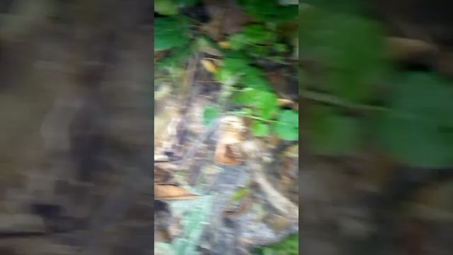 немного сделали отдых смотреть онлайн
