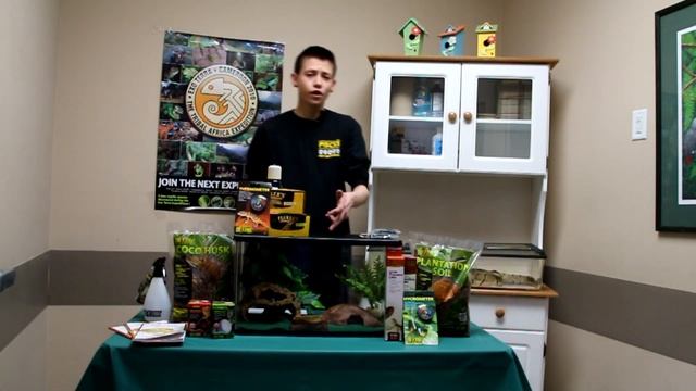 Basic Ball Python Set Up & Care смотреть онлайн