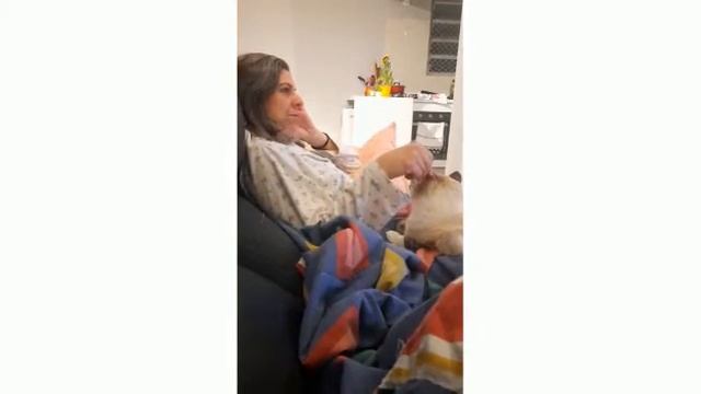 Nova Rotina de Lilian Ferrari смотреть онлайн