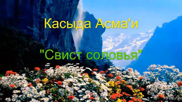 Касыда Асмаи, Свист Соловья смотреть онлайн