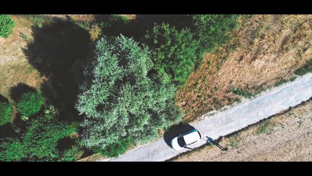 ANAFI PARROT - BEST MODES TEST смотреть онлайн
