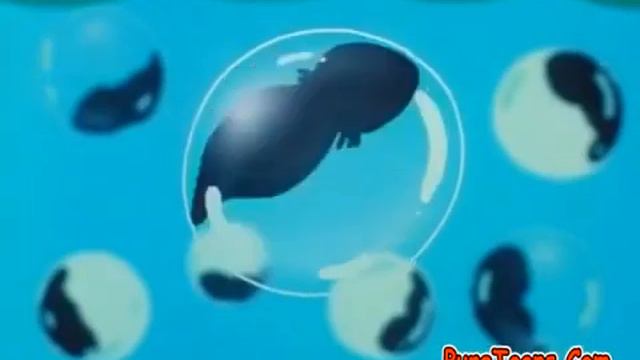 Doraemon Old Episode In Hindi || Doraemon Cartoon