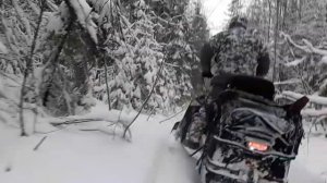 Стелс Витязь "новогодняя история"