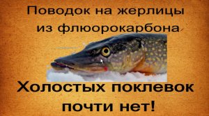 Поводок из флюорокарбона для жерлиц. Холостых поклевок меньше в разы!