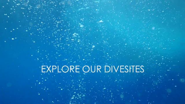 Dive and Snorkel with Ocean Dimensions, Kihaa Maldives смотреть онлайн