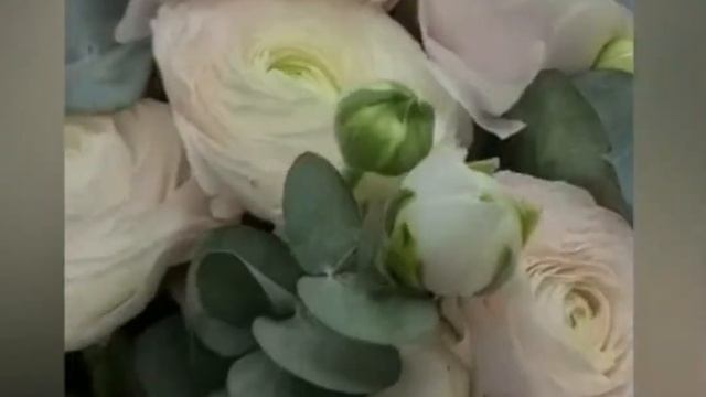 Букет 9 ранункулюсов с эвкалиптом и оформлением R1218 смотреть онлайн