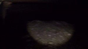 рыбалка на квх ловля сазана