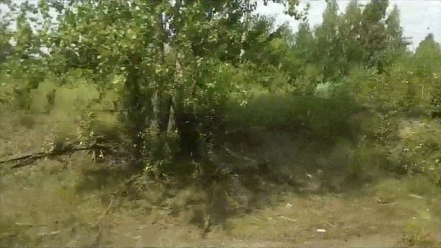 Прибытие в Нижний Новгород