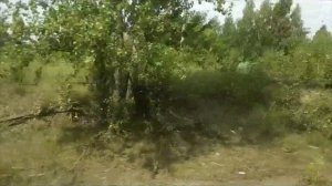 Прибытие в Нижний Новгород