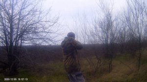 Охота с дратхааром. Правильная работа легавой. Охота на зайца.