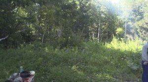 Выезжий лог-Красноярск(часть1) Сплав по Мане 2020