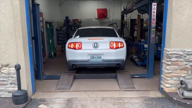 Ford Mustang: 2.3L Vs 3.7L Vs 4.6L Vs 5.0L! смотреть онлайн