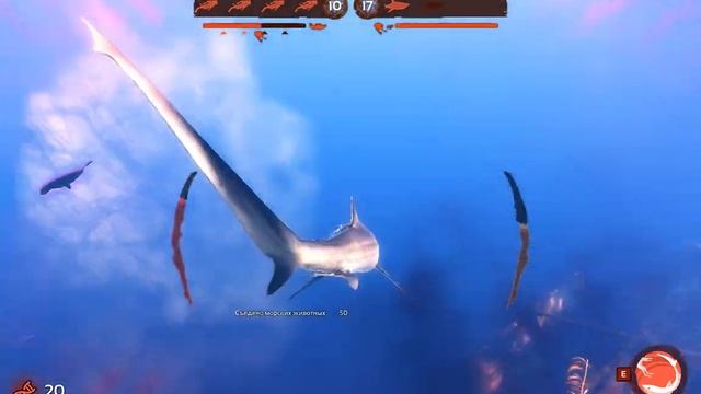 играем в Depth за акулу смотреть онлайн
