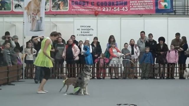 Фристайл Рудакова Вита смотреть онлайн