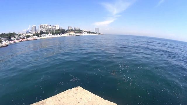 Дельфин в Аркадии, Одесса, 28.07.2021 смотреть онлайн