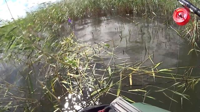 РЫБА клюёт в любую ПОГОДУ смотреть онлайн
