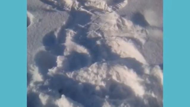 Нам было весело смотреть онлайн
