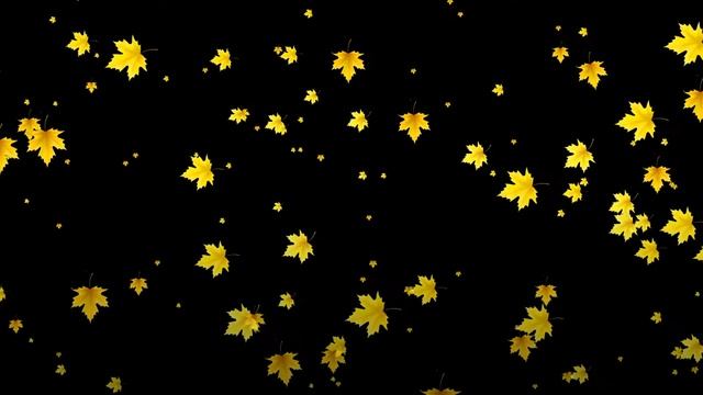 Много кленовых листьев - осенний футаж на черном и зеленом фоне для видео монтажа. смотреть онлайн