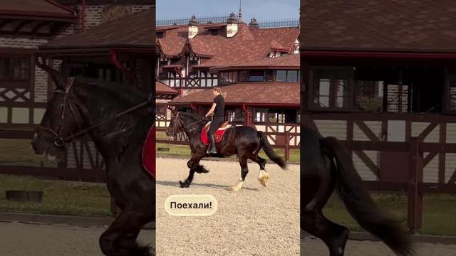 Прибавленная рысь на шайре смотреть онлайн