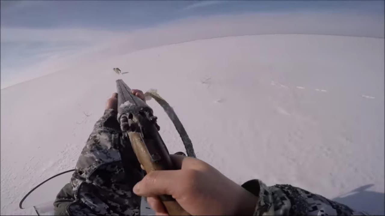 Охота на волков .ВОЛКИ ЗАГРЫЗЛИ КОРОВУ( hunting for wolves ) смотреть онлайн