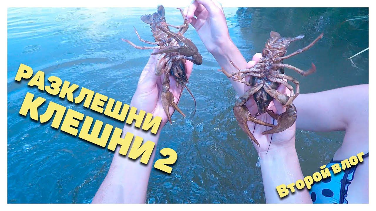 Влог 2. РАЗКЛЕШНИ КЛЕШНИ 2. Этот дивный подводный мир Урала. смотреть онлайн