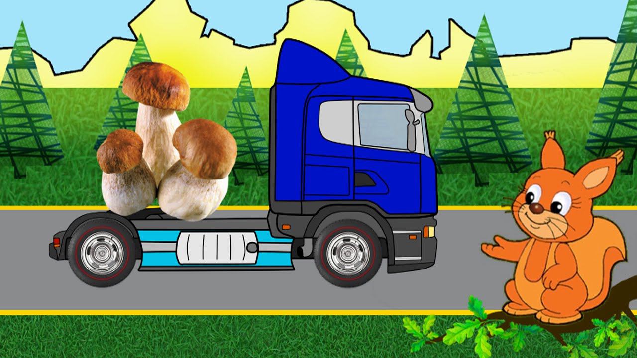 Машинка Тягач и Белочка. Съедобные Грибы - 1 серия. Развивающие Мультики смотреть онлайн
