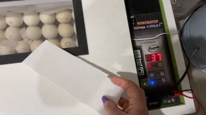 Как снизить влажность в инкубаторе Норма-Урал/Ставим инкубацию тяжелого Индюка Биг-6