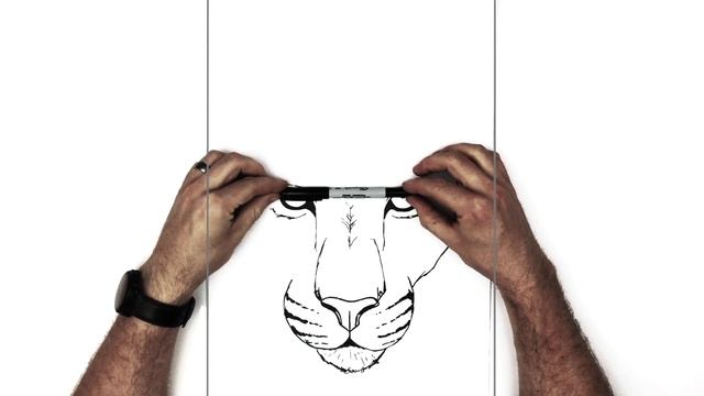 How To Draw A Panther | Step By Step смотреть онлайн