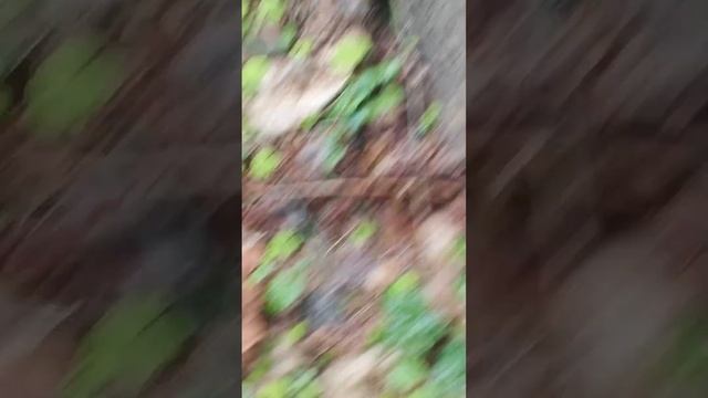 строчки#10 смотреть онлайн