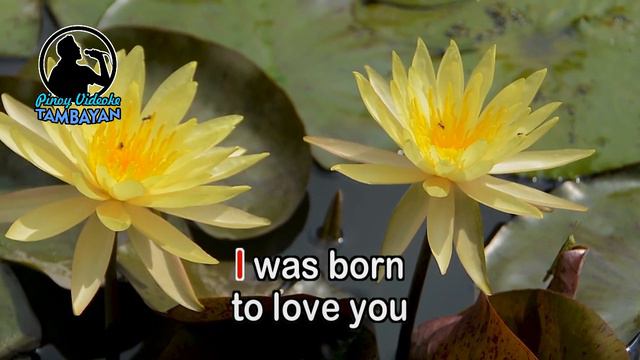I Was Born To Love You - Eric Carmen (KARAOKE VERSION) смотреть онлайн