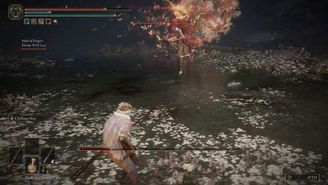 [Make me solo her] - Following let me solo her's Footsteps in Elden Ring: Defeating Malenia #23 смотреть онлайн