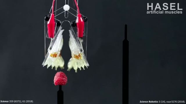 The artificial muscles that will power robots of the future | Christoph Keplinger смотреть онлайн