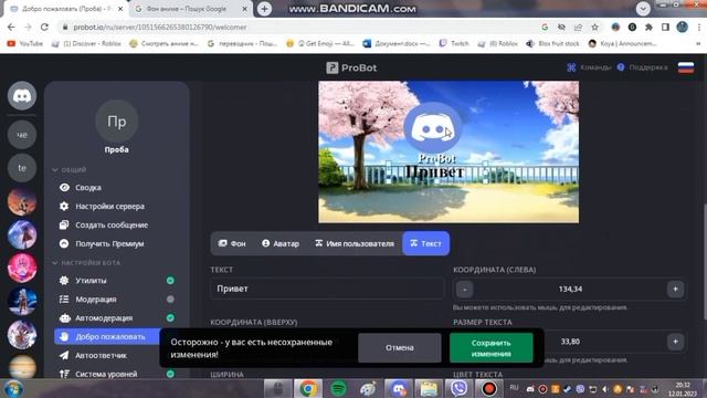 Настройка Pro bot смотреть онлайн