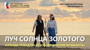 "Луч солнца золотого" Поют Россия, Казахстан и Узбекистан #музыкавместе #песнивеликойстраны #пфки