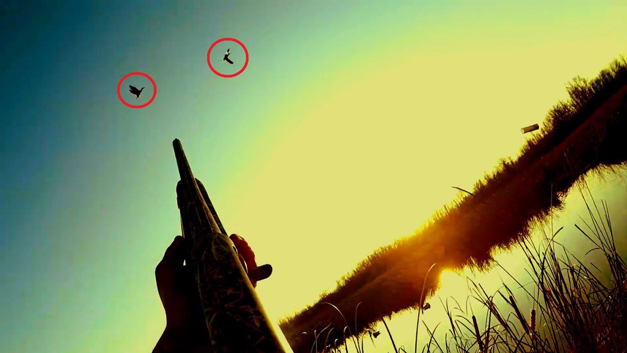 ОХОТА НА УТКУ!!! ЛУЧШИЕ МОМЕНТЫ С ОХОТЫ НА УТКУ СЕЗОНА!!! ТОЛЬКО ВЫСТРЕЛЫ / MAX HUNTER смотреть онлайн