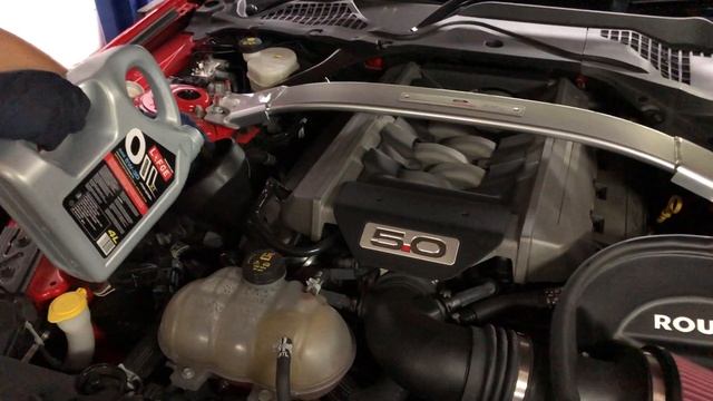 Ford Mustang Oil Change - LOFGE Speedway X1 5W-30 T1701 Ester Fully Synthetic Engine Oil смотреть онлайн