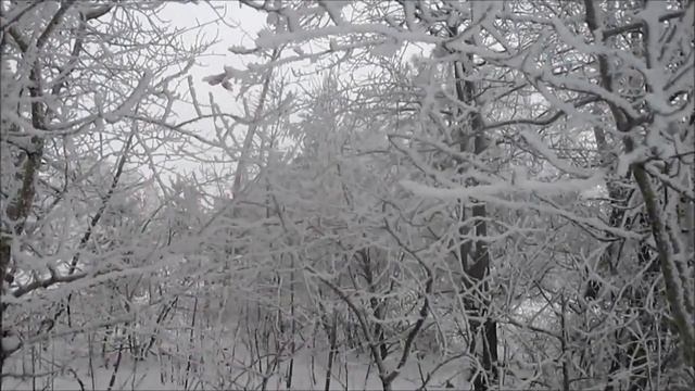 Этюд в зимнем лесу смотреть онлайн