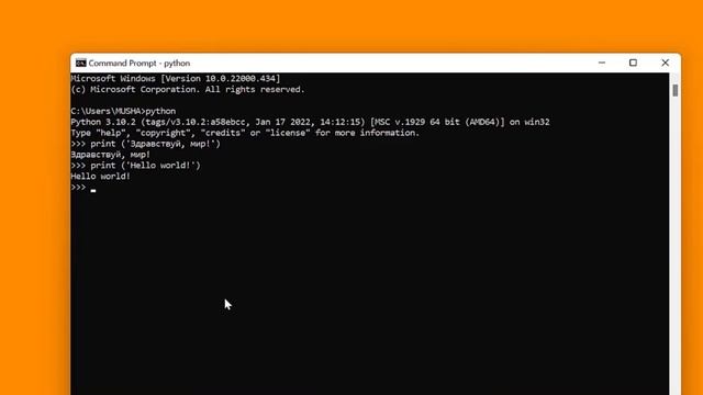Установка Python и запуск первой программы. Видео_1 смотреть онлайн