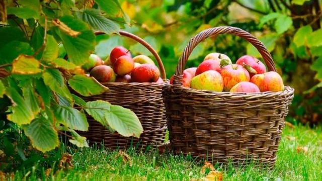 Питание богочеловека. Как изменить свое отношение к питанию в период перехода.