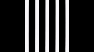 Развивающие картинки для детей | Черно-белые | 0-3 месяца  |